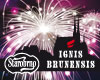 vstupenky na STAROBRNO-IGNIS BRUNENSIS pyroshow!