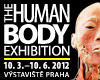 vstupenky na THE HUMAN BODY EXHIBITION