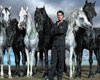 vstupenky na HORSE EVOLUTION SHOW