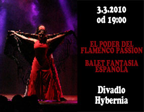EL PODER DEL FLAMENCO PASSION