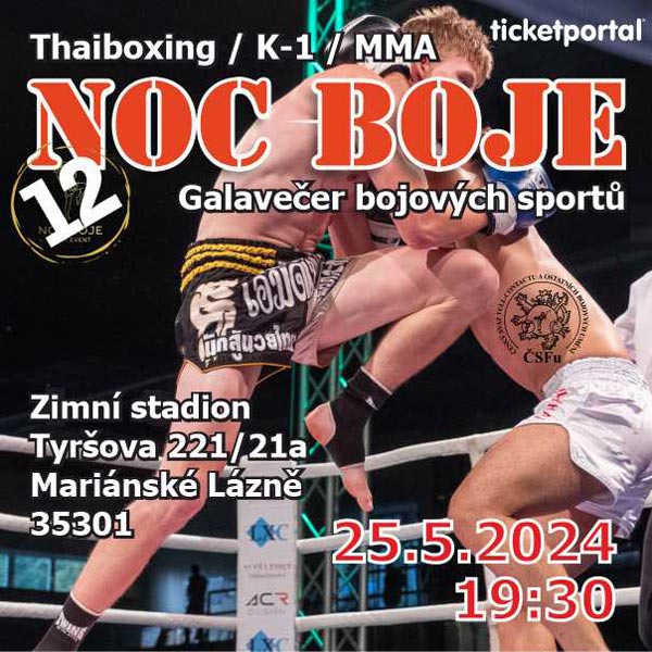 boxing-lucerna-galave-er-profi-boxu-a-k1-p-edprodej-vstupenek-s